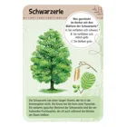 MOS09716 - Expedition nature "50 domestic trees", for 1 or more players, from 10 years (DE edition)