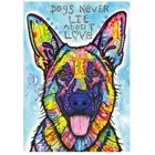 297329 - Dogs Never Lie - Jolly Pets, 1000 pieces, 50.0 x 70.0 cm