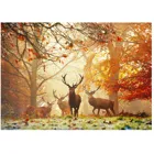 298050 - Stags - Magic Forests, 1000 pieces, 70.0 x 50.0 cm