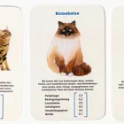 441050 - Quartet - cats. Best in Show - 2+ players, ages 8+ (DE edition)