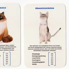 441050 - Quartet - cats. Best in Show - 2+ players, ages 8+ (DE edition)