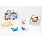 441302 - Butterflies and their wings - Memo, 2 players, ages 6+ (DE edition)