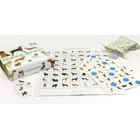 440497 - Dog Bingo - Board game, 2-7 players, ages 6+ (DE edition)