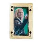 WIN30645 - Playing Cards - Harry Potter , Spielkarten, 2+ Spieler, ab 6 Jahren (DE-Ausgabe)