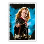 ART16020 - Matte Art – Wizarding World - Hermione Granger (100)