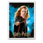 ART16020 - Matte Art – Wizarding World - Hermione Granger (100)