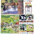 SPF32068 - Fantasy Ranch: A horse farm game - Board game, 2-4 players, 12 Years (DE Edition)