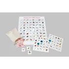 442088 - Bedrohte Tiere Bingo - Board game, for 2-7 players, from 6 years (DE Edition)