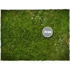 32MAT22X30M - Grass Play Mat, Mouse Pad Mat, size 56 × 76 cm