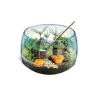 19248 - Harry Potter, Hagrids Hut Terrarium, ab 7 Jahren