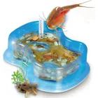 59259 - Original Triops starter set experimental kit, from 8 years (DE edition)