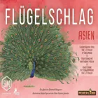 FEU31018 - Flügelschlag: Asien, Brettspiel, für 1 bis 2 Spielende, ab 10 Jahren (DE- Erweiterung)