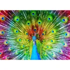 ENJOY-1251 - Colorful Peacock, Puzzle, 1000 Pieces