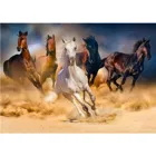 ENJOY-1356 - Horses Running in the Desert, Puzzle , 1000 pieces