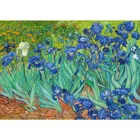 ENJOY-1185 - Vincent Van Gogh: Irises, Puzzle, 1000 Pieces