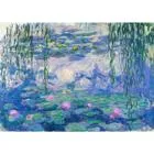 ENJOY-1197 - Claude Monet: Nympheas, Puzzle, 1000 Pieces