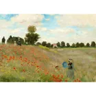 ENJOY-1200 - Claude Monet: Poppy Field, Puzzle , 1000 Teile