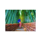 ENJOY-1293 - Asian Woman in the Bamboo Forest, Puzzle, 1000 pieces