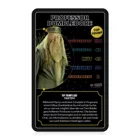 Top Trumps Harry Potter Heroes of Hogwarts Collectables, from 2 players (EN)