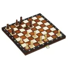 Chess cassette, travel, field 30 mm, with edge lettering, magnetic, board game, from 6 years old