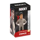 MIND0031 - ROCKY Rocky Training Suit Collectable Figure