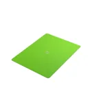 GGS60054 - Magnetic Dice Tray Rectangular Black&Green