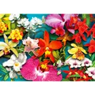 ENJOY-2033 - Orchid Jungle, Puzzle, 1000 pieces