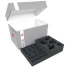 DSLB310P31 - DS storage box for Ossiarch Bonereapers