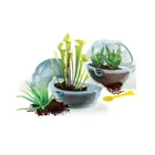 59346 - Discover the world of carnivorous plants