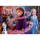 20162 - Disyney Frozen 2 pullover, 104 pieces, glitter effect