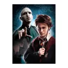 61884 - Harry Potter