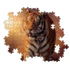 31806 - TIGER - 1500 PARTS