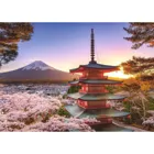 RAV17090 - Jigsaw Puzzle: Cherry Blossom in Japan 1000 pieces