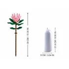 SL96107 - King protea in vase