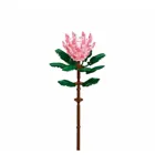 SL96107 - King protea in vase