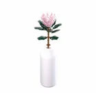 SL96107 - King protea in vase