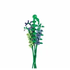 SL96123 - Delphinium in a vase