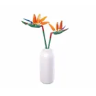 SL95971 - Bird of paradise flower in vase