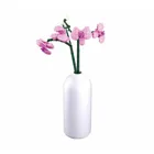 SL96117 - Schmetterlings-Orchidee in Vase