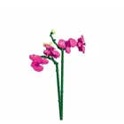 SL96117 - Butterfly orchid in vase