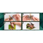 DYNASTES HERCULES (DIY KIT) -