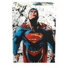 ART16085 - : Dual Art Superman Core (Vollfarbe) (100) (GB)