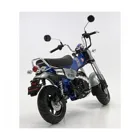 300014142 - 1:12 Honda Dax 125 Edition