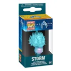 FK67576 - Aquaman and the Lost Kingdom POP! Vinyl Schlüsselanhänger 4 cm Storm Display (12