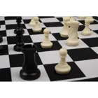 2502 - Chess set, rollable, 55 mm square, with plastic pieces and carrying bag