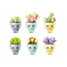 SL95936 - Mini flowers in pot in counter display (PU 6)