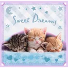 TR34809 - 3 in 1 Puzzle - Kittens