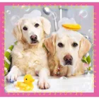 TR34845 - 3 in 1 Puzzle - Dogs