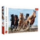 TR10446 - Premium jigsaw puzzle 1000 pieces - galloping horses