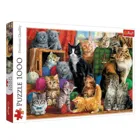 TR10555 - Premium Jigsaw Puzzle 1000 Pieces - Cat Assembly